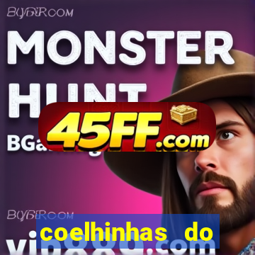 coelhinhas do brasil recife